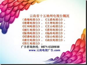 昭通電視臺(tái)廣告部 昭通電視臺(tái)廣告電話 咨詢昆明曉升廣告_商務(wù)服務(wù)