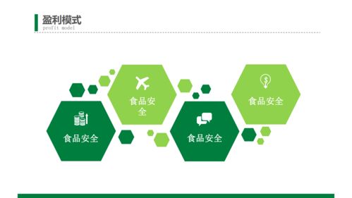 綠色食品商業(yè) 創(chuàng)業(yè)計(jì)劃書模板