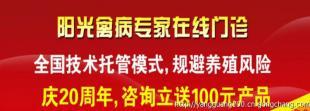 陽光全國技術(shù)托管讓您養(yǎng)殖全程無憂_商務(wù)服務(wù)_世界工廠網(wǎng)